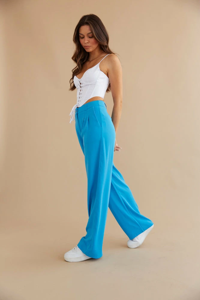 New Threads Dublin Pleated Wide Leg Trouser