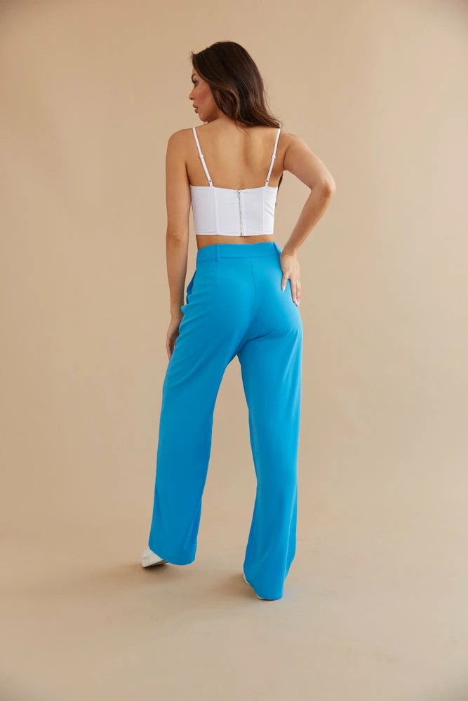 New Threads Dublin Pleated Wide Leg Trouser