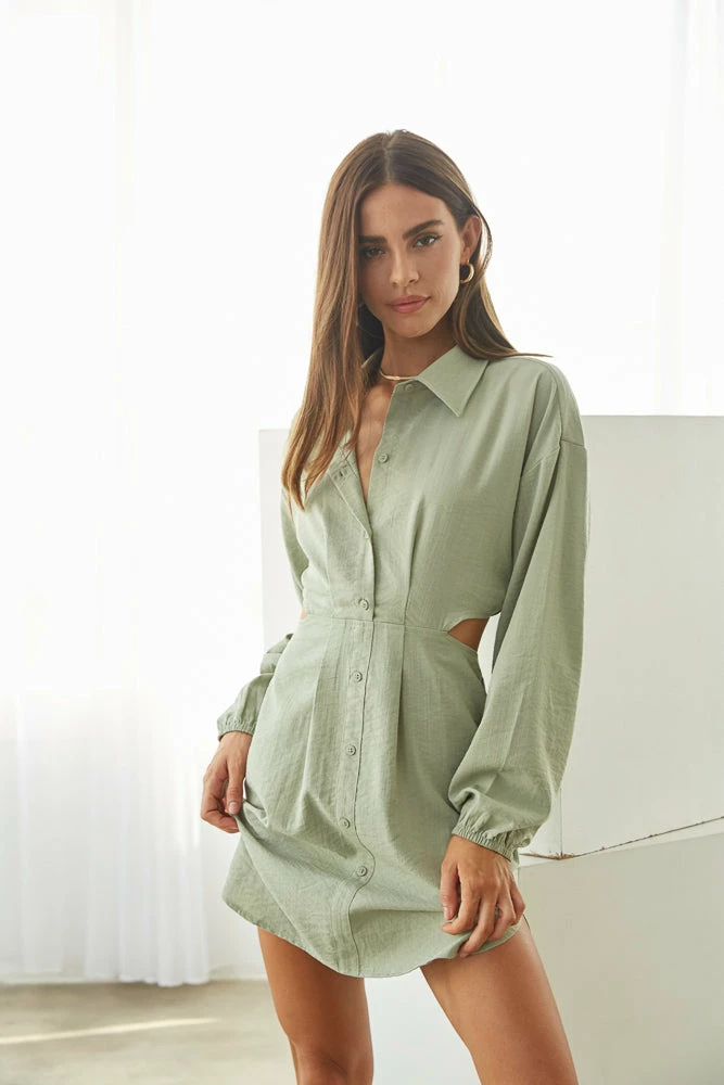 AT Clarkson Collared Mini Dress