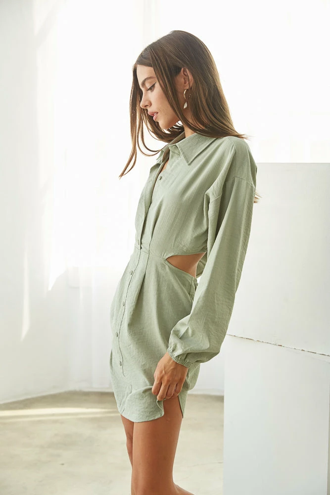 AT Clarkson Collared Mini Dress