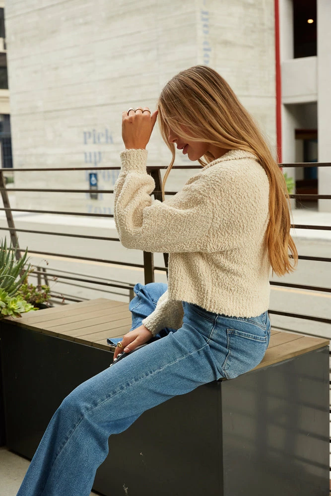 Izzy Fuzzy Crop Sweater In Ivory